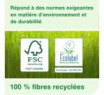 Essuie-mains pliage enchevêtré Tork H2 Advanced doux - Carton de 3780