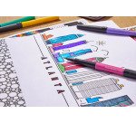 Stylo feutre Paper Mate Flair Métallique écriture moyenne - Pochette de 12