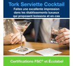 Serviette Cocktail Tork ouate blanche 2 plis 24 x 24 cm - Paquet de 200