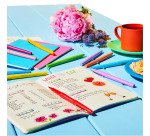 Penne con punta sintetica Paper Mate Flair Nylon assortiti 16 pezzi