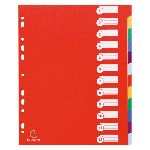 Divisri 12 tasti 12 tasti colorati assortiti perforato polipropilene rigido A4 maxi 24,5 x 29,7 cm