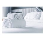 Lessive liquide Skip professional Active Clean - 150 lavages - Bidon de 7,5 L