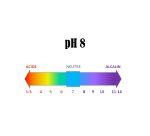 Lessive liquide L'Arbre vert floral - Bidon de 5 litres