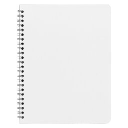 Cahier spirale budget 17 x 22 cm petits carreaux 100 pages