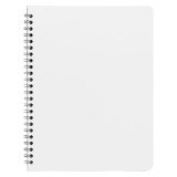 Cahier spirale budget 17 x 22 cm petits carreaux 100 pages