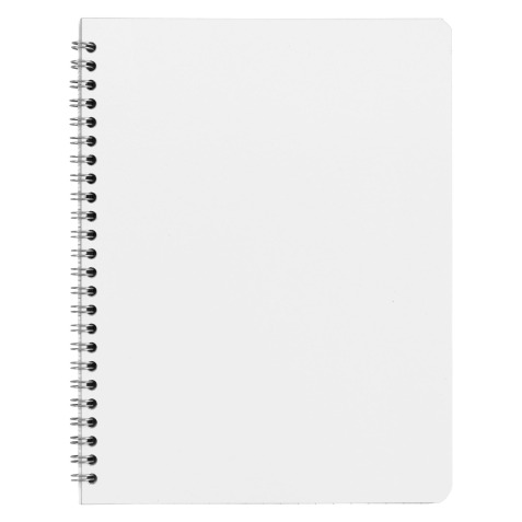 Cahier spirale budget 17 x 22 cm petits carreaux 100 pages