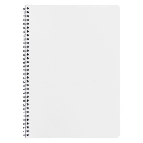 Cahier spirale budget A4 21 x 29,7 cm petits carreaux 100 pages