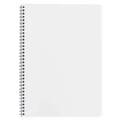 Cahier spirale budget A4 21 x 29,7 cm petits carreaux 100 pages