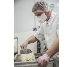 Respiratore FFP3 con valvola PIP 2311, 20 unità