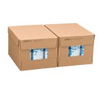 Eau minérale Bruneau 50 cl - 24 briques