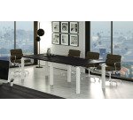 Florida and Florida 4 meeting table, 220 x 100 x 74 cm high