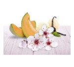 Recharge Air Wick Freshmatic délices d'été pour diffuseur - 250 ml