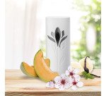 Recharge Air Wick Freshmatic délices d'été pour diffuseur - 250 ml