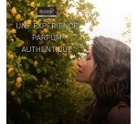 Désodorisant aérosol Boldair buse surpuissante zeste de citron - 750 ml