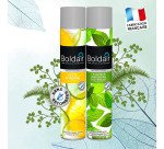 Désodorisant aérosol classique Boldair zeste citronné - 500 ml