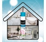 Désodorisant destructeur d'odeurs parfumant Boldair menthe rose - Aérosol 500 ml