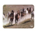 T'NB 40 tapis de souris illustrés 18 x 23 cm