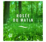 Désodorisant Febreze rosée du matin - Aérosol 300 ml