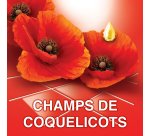 Nettoyant multi-usages Ajax fleurs rouges - Bidon de 5 litres