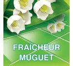 Nettoyant multi-usages Ajax fleurs de printemps - Bidon de 5 litres