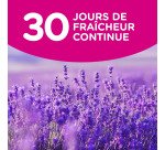 Assouplissant Soupline lavande - 29 lavages - Bidon de 1,9 L