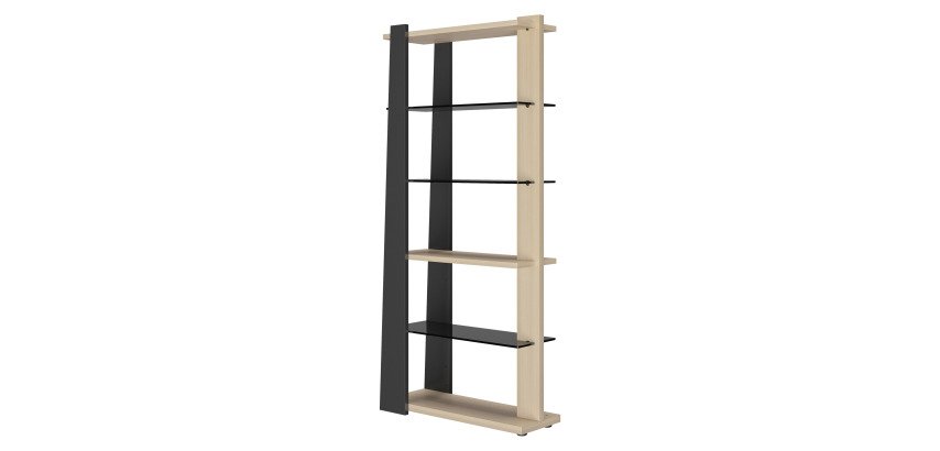 Bookcase Onyx