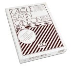Carta lucida satinata per disegno manuale - A4 - 250 fogli - 90/95 gr - per fotocopie/stampe laser - Canson