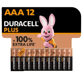 12 Piles Alcaline Duracell AAA / LR03