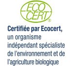 Liquide Vaisselle Professionnel Briochin – Bidon de 5 L