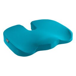 Cuscino da seduta ergonomico Leitz Cosy Ergo blu