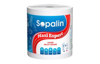 Essuie-tout ménager