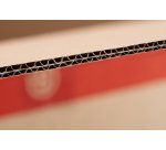 Caja traslado Bruneau 550 x 330 x 300 mm. Doble canal con asas