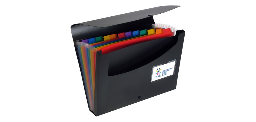 Trieur valisette polypropylène Viquel Rainbow Class 12 onglets