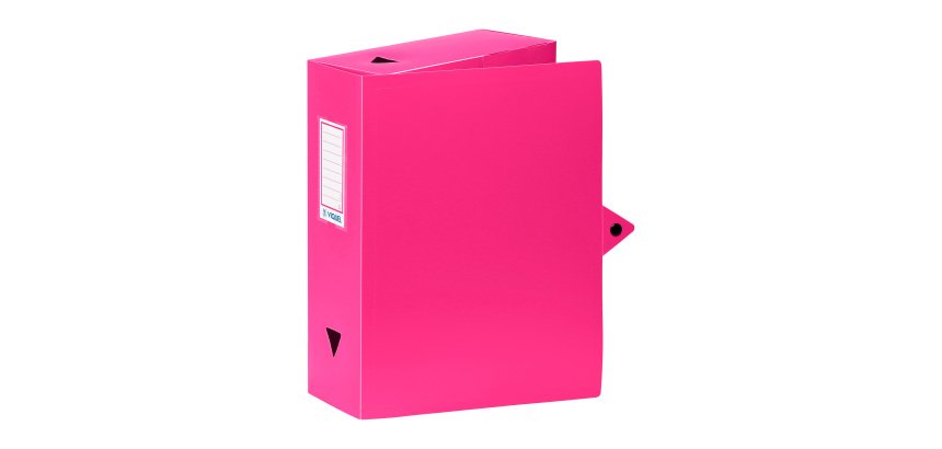Kunststoff-Ablagebox Essentiel Viquel mit 10 cm Rücken