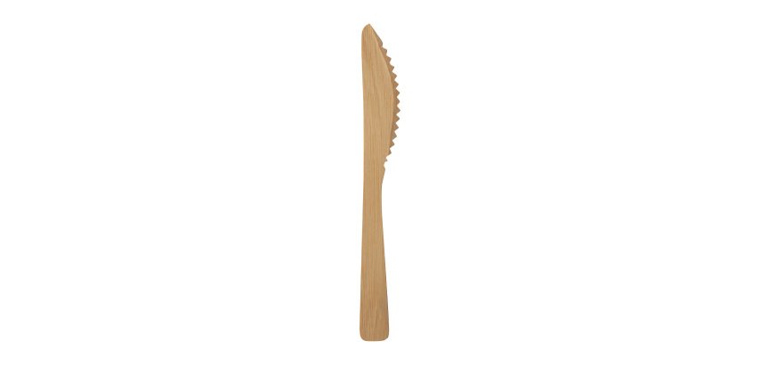 Bamboo knives L 170 mm - Pack of 100