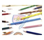 Crayon de couleur Bic Kids Evolution Ecolutions couleurs assorties - Pot à Crayons de 60