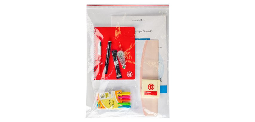 Sachet Zip transparent - 50 microns - Carton de 1000