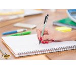 Stylo bille Bic Ecolution Round Stic rétractable