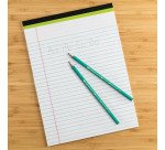 Caja de 12 Lápices ecológicos Evolution HB Bic