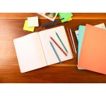 Lápiz ecológico Evolution HB Bic con goma Caja de 12