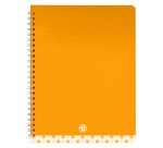 Cahier spirale standard Bruneau 17 x 22 cm petits carreaux 100 pages