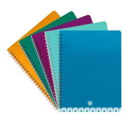 En_cahier carte assorti bruneau 17x22cm 100p 5x5mm
