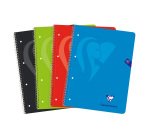 Cuaderno tapa dura A4+ 120h 5x5 Clairefontaine