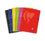 Cuaderno tapa flexible A4+ 80h 5x5 Clairefontaine