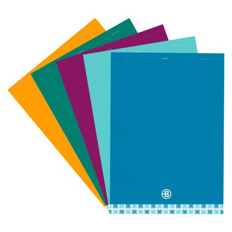 Pack 10 bureaublokken Executive Bruneau 21 x 29,7 cm - 5 x 5 - 80 vellen + 5 gratis