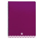 Cahier spirale standard Bruneau 17 x 22 cm grands carreaux 100 pages