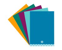 Bloc de oficina Executive Bruneau A5 14,8 x 21 cm grapado - 5 x 5 - 80 páginas