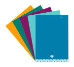 Pack 10 blocs de oficina Executive Bruneau 14,8 x 21 cm - 5 x 5 - 80F + 5 gratuitos