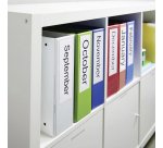 Dymo LW S0722480 / 99019 Authentic Lever Arch Labels White 59 x 190 mm 110 Labels