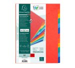 Exacompta Dividers Nature Future A4 Assorted 12 tabs universal mottled pressboard blank
